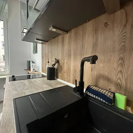 Urban Spacious Bright With Danubeview * لينتز